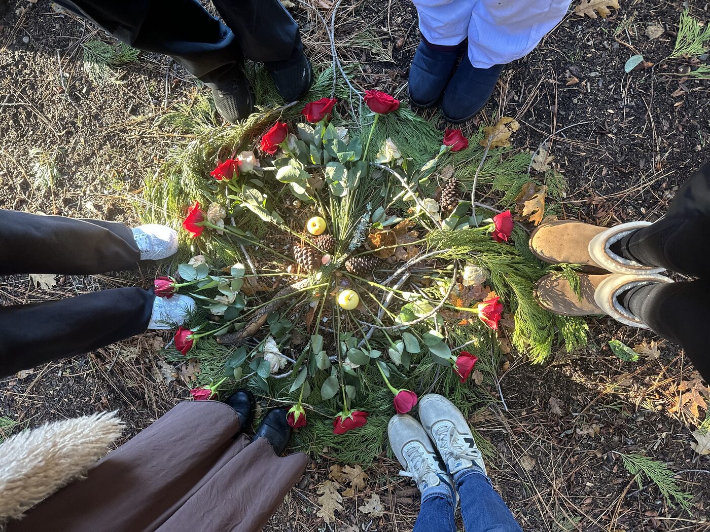 A rose and evergreen mandala laid on the forest floor, the circle gathered around it