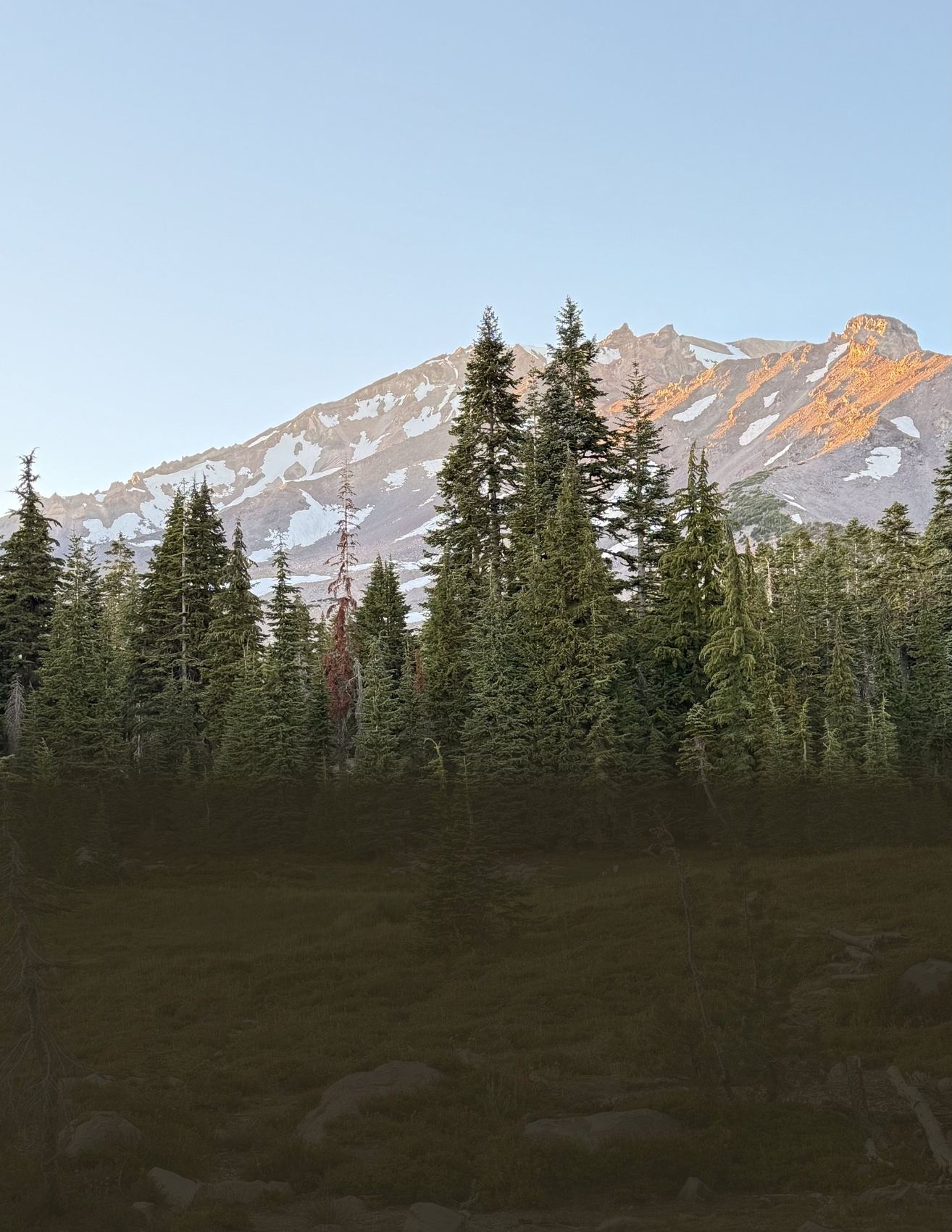 Mount Shasta rising above the meadow at first light