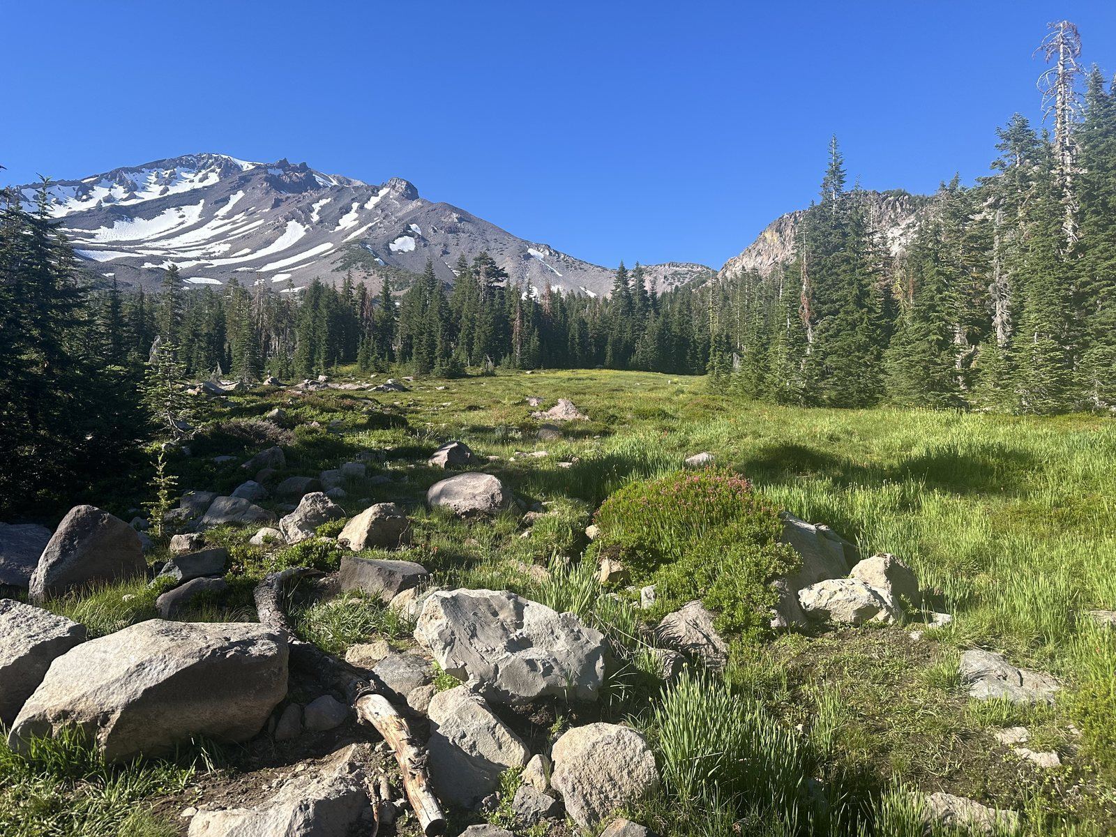 An alpine meadow of grass and stone with Mount Shasta beyond